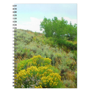 Up the hill,grand teton national park. notebook