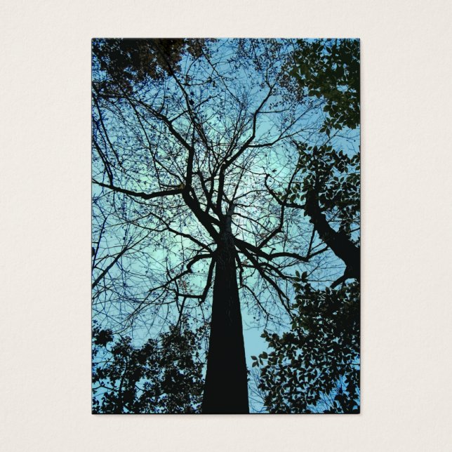 Up the Tree ATC (Front)