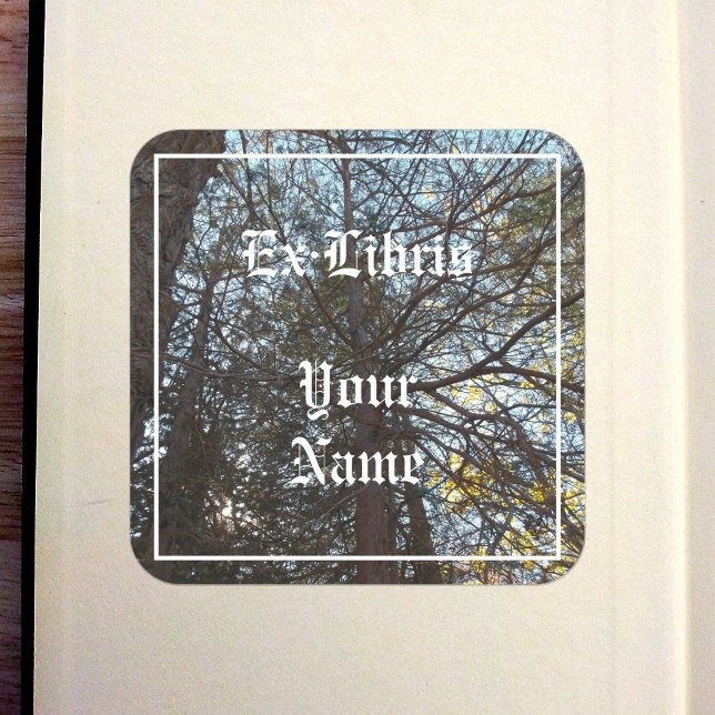 Up Through the Branches Bookplate Square Sticker (Up Through the Branches Bookplate in Old Book)