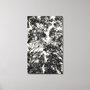 Up Through The Trees, 2018   SVP Images Canvas Print