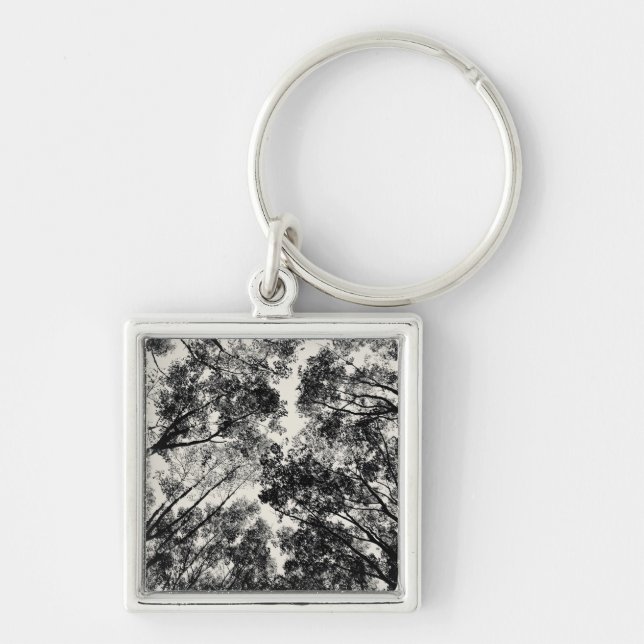 Up Through The Trees, 2018 | SVP Images Key Ring (Front)