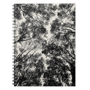 Up Through The Trees, 2018 SVP Images Notebook