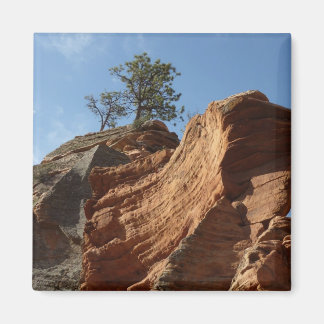 Up to Angels Landing in Zion National Park Magnet