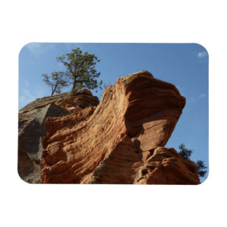 Up to Angels Landing in Zion National Park Magnet