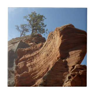 Up to Angels Landing in Zion National Park Tile