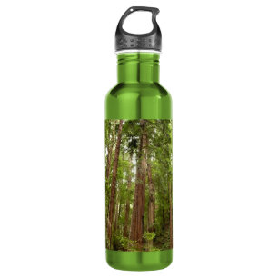 Up to Redwoods I 710 Ml Water Bottle