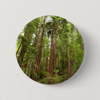 Up to Redwoods I at Muir Woods National Monument 6 Cm Round Badge