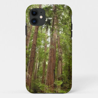 Up to Redwoods I at Muir Woods National Monument iPhone 11 Case