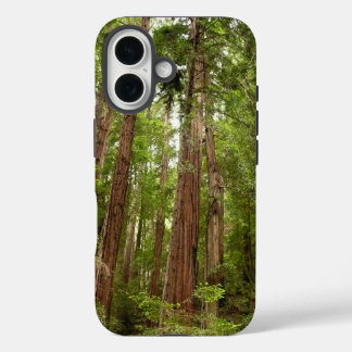 Up to Redwoods I at Muir Woods National Monument iPhone 16 Case
