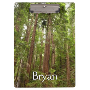 Up to Redwoods I at Muir Woods National Monument Clipboard