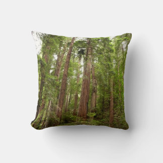 Up to Redwoods I at Muir Woods National Monument Cushion