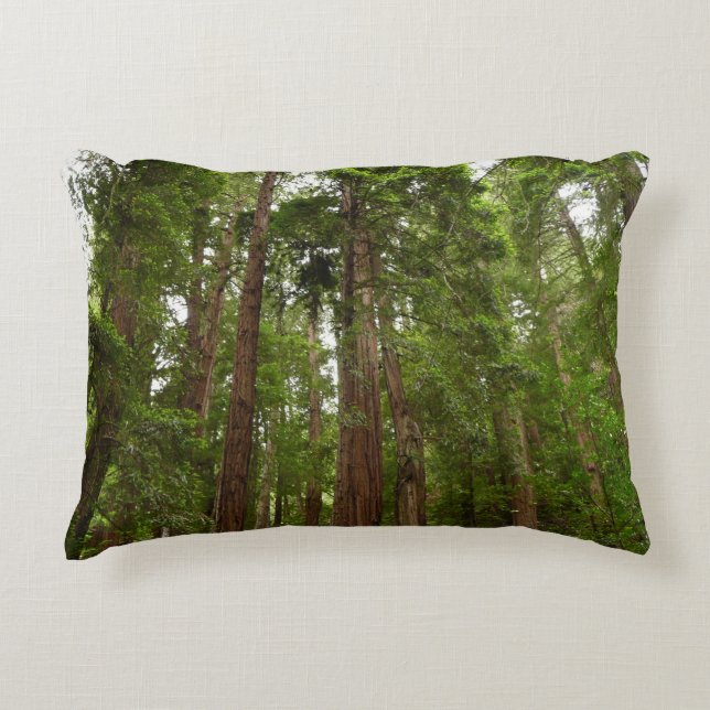 Up to Redwoods I at Muir Woods National Monument Decorative Cushion (Front)