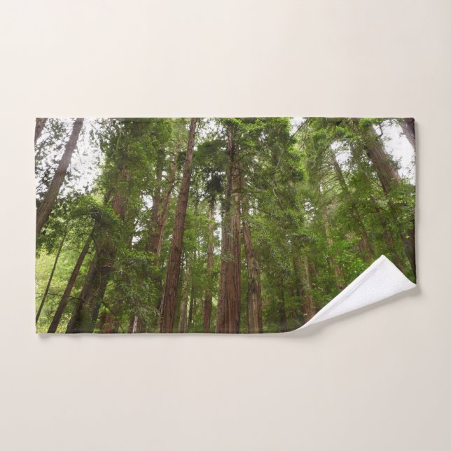 Up to Redwoods I at Muir Woods National Monument Hand Towel (Hand Towel)