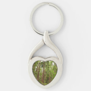 Up to Redwoods I at Muir Woods National Monument Key Ring