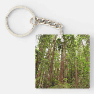 Up to Redwoods I at Muir Woods National Monument Key Ring