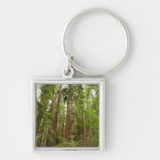 Up to Redwoods I at Muir Woods National Monument Key Ring