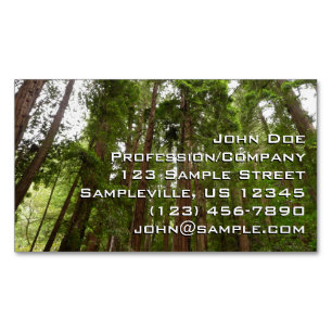 Up to Redwoods I at Muir Woods National Monument Magnetic Business Card