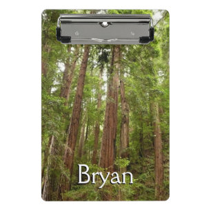 Up to Redwoods I at Muir Woods National Monument Mini Clipboard