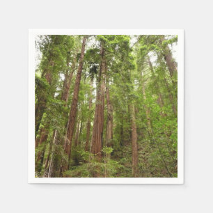 Up to Redwoods I at Muir Woods National Monument Napkin