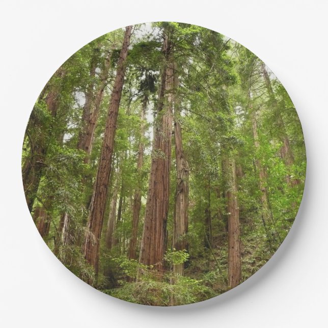 Up to Redwoods I at Muir Woods National Monument Paper Plate (Front)