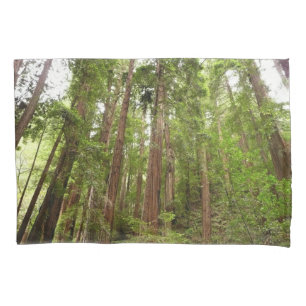 Up to Redwoods I at Muir Woods National Monument Pillowcase