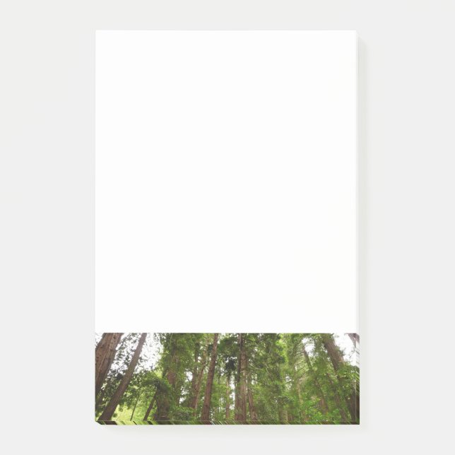 Up to Redwoods I at Muir Woods National Monument Post-it Notes (Front)