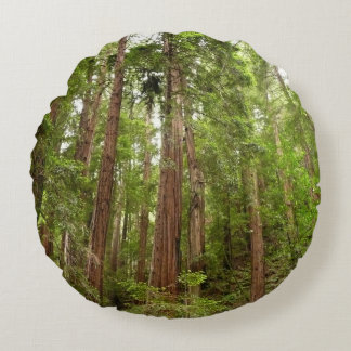 Up to Redwoods I at Muir Woods National Monument Round Cushion