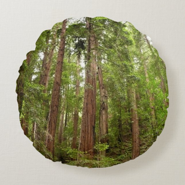 Up to Redwoods I at Muir Woods National Monument Round Cushion (Front)