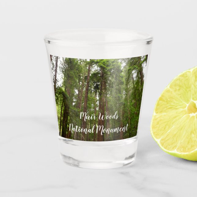 Up to Redwoods I at Muir Woods National Monument Shot Glass (Front)