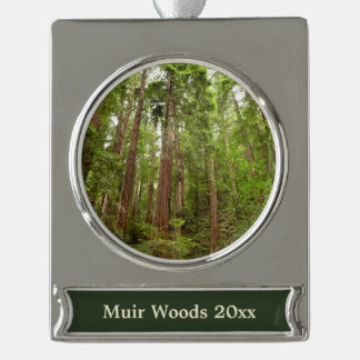 Up to Redwoods I at Muir Woods National Monument Silver Plated Banner Ornament