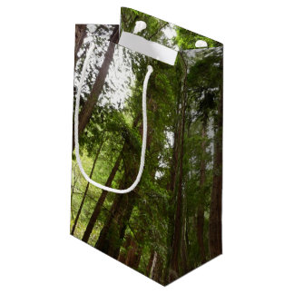 Up to Redwoods I at Muir Woods National Monument Small Gift Bag