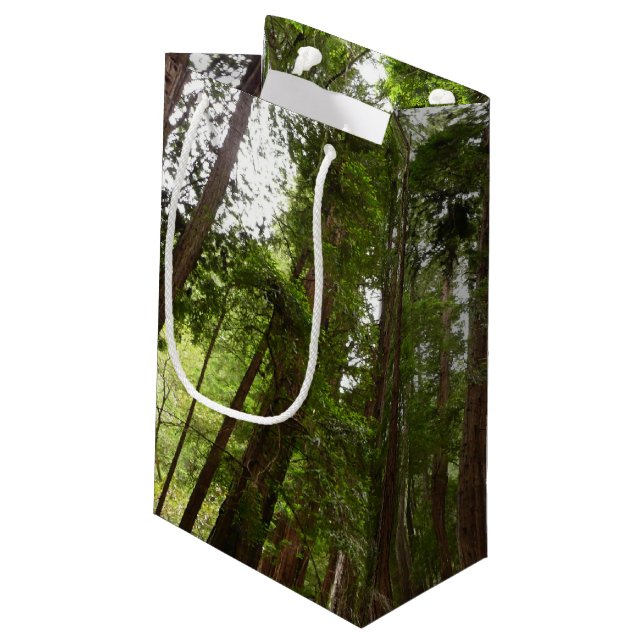 Up to Redwoods I at Muir Woods National Monument Small Gift Bag (Back Angled)