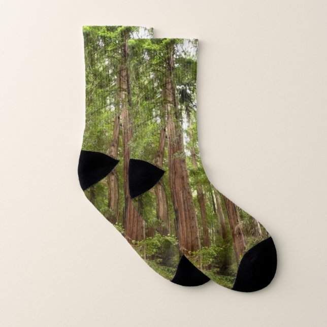 Up to Redwoods I at Muir Woods National Monument Socks (Pair)