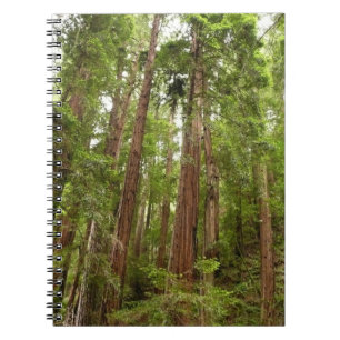 Up to Redwoods I at Muir Woods National Monument Spiral Notebook