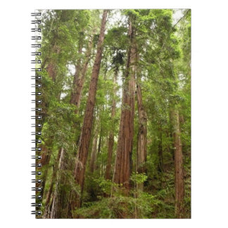 Up to Redwoods I at Muir Woods National Monument Spiral Notebook