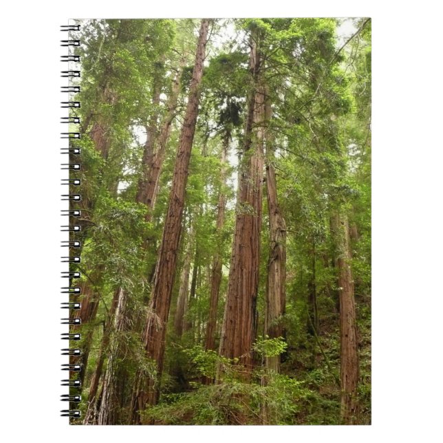 Up to Redwoods I at Muir Woods National Monument Spiral Notebook (Front)