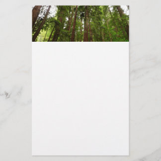 Up to Redwoods I at Muir Woods National Monument Stationery