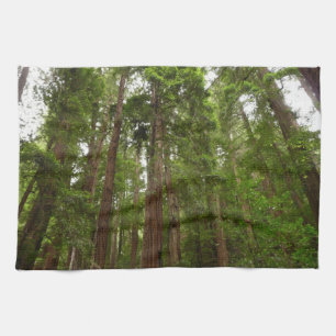Up to Redwoods I at Muir Woods National Monument Tea Towel