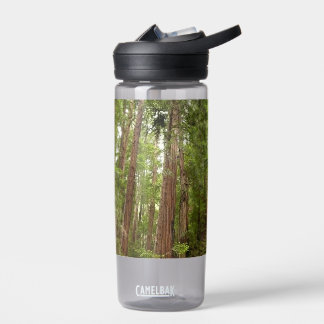 Up to Redwoods I at Muir Woods National Monument Water Bottle