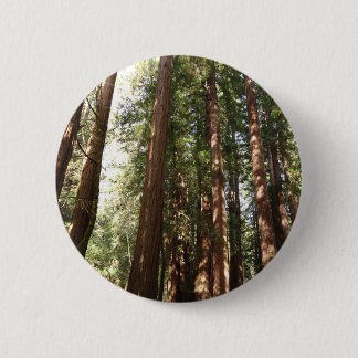 Up to Redwoods II at Muir Woods National Monument 6 Cm Round Badge