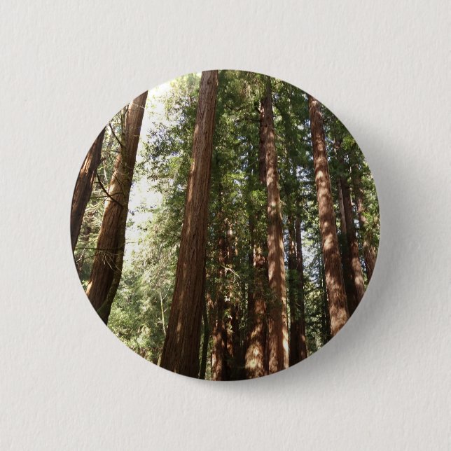 Up to Redwoods II at Muir Woods National Monument 6 Cm Round Badge (Front)