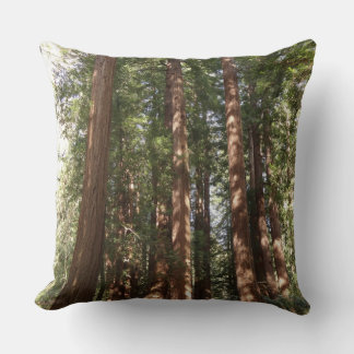 Up to Redwoods II at Muir Woods National Monument Cushion