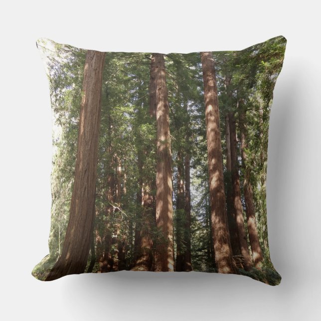 Up to Redwoods II at Muir Woods National Monument Cushion (Front)
