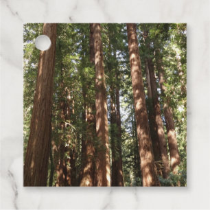 Up to Redwoods II at Muir Woods National Monument Favour Tags