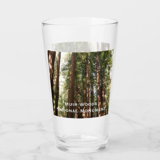 Up to Redwoods II at Muir Woods National Monument Glass
