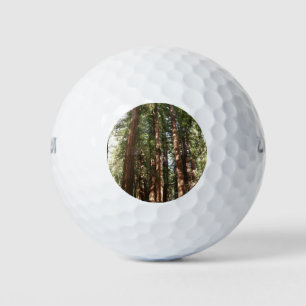 Up to Redwoods II at Muir Woods National Monument Golf Balls