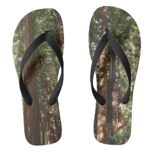 Up to Redwoods II at Muir Woods National Monument Jandals