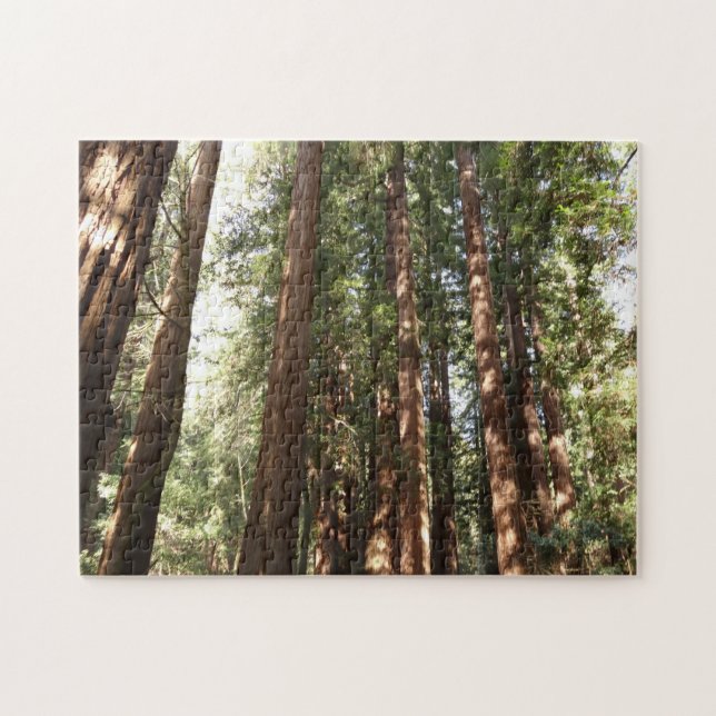Up to Redwoods II at Muir Woods National Monument Jigsaw Puzzle (Horizontal)
