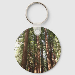 Up to Redwoods II at Muir Woods National Monument Key Ring