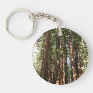 Up to Redwoods II at Muir Woods National Monument Key Ring
